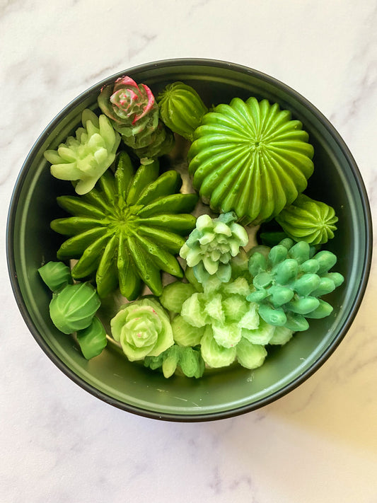 Succulent tin